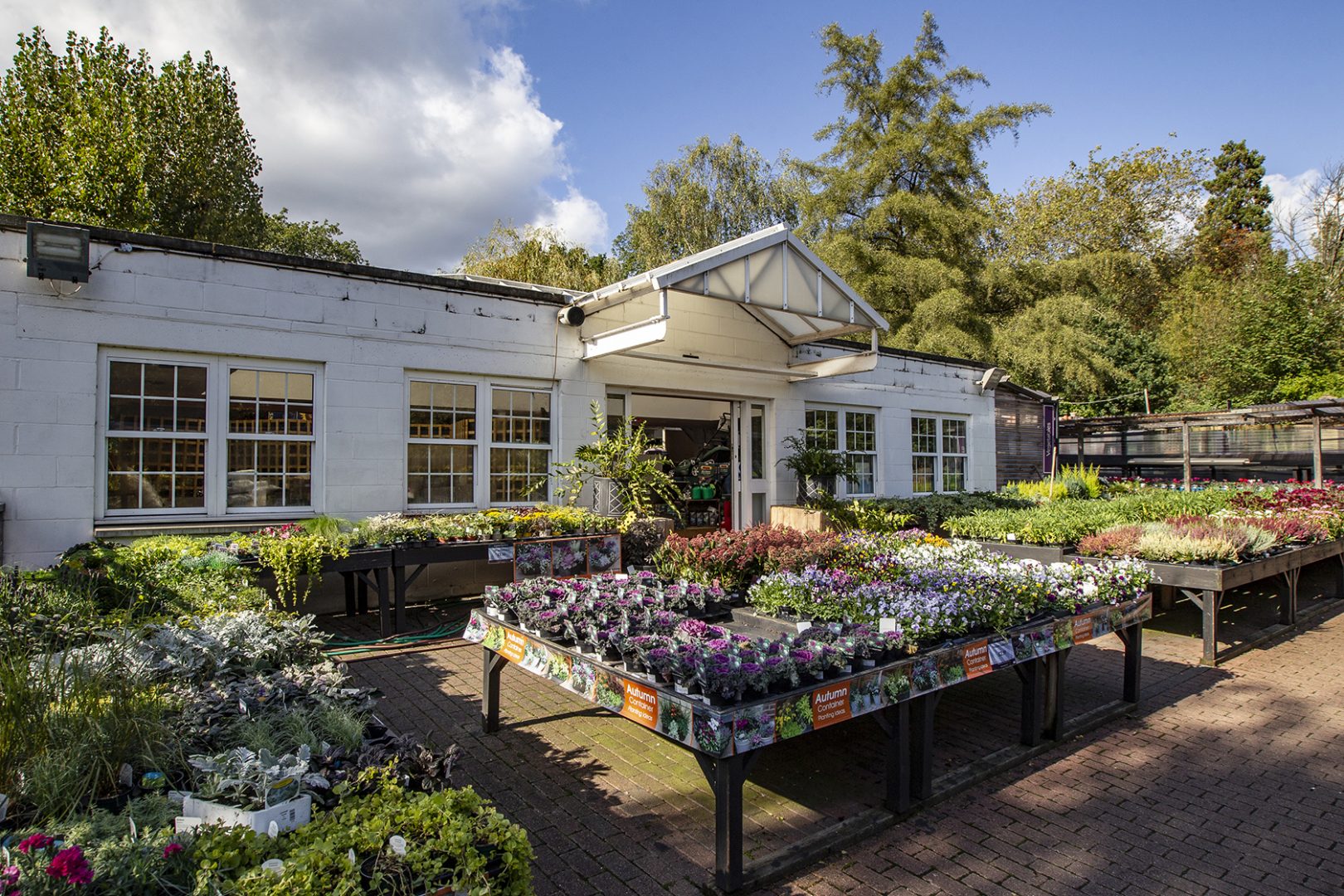 Alexandra Palace garden centre filled with a variety of colourful plants and flowers.